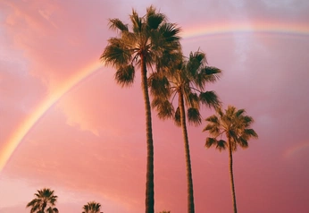 A cover of "Island Barbiecore" cluster. The owner is shayester1. The cluster description is "Glam tropical paradise meets Barbie-pink vibes with luxe beach energy.". The cluster consists of 15 elements.