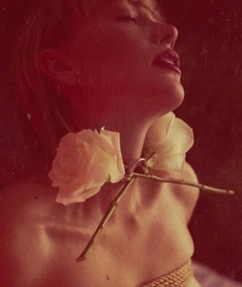 A cover of "Flowers" cluster. The owner is yuujin.ph. The cluster consists of 1 element.