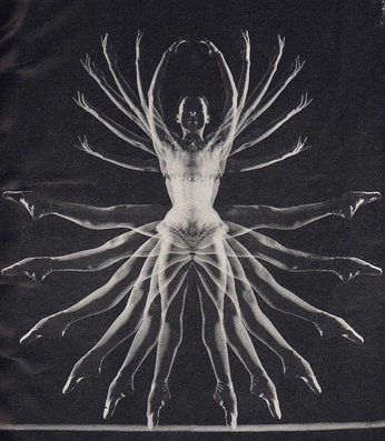 A cover of "samhain" cluster. The owner is beatrixbee. The cluster consists of 1 element.