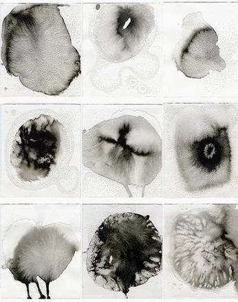 A cover of "flower" cluster. The owner is leewoo. The cluster consists of 9 elements.