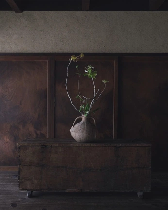 A cover of "Wabi sabi" cluster. The owner is simplemente. The cluster consists of 1 element.