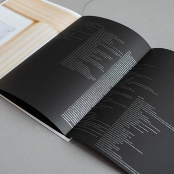 A cover of "LSQ BROCHURE" cluster. The owner is onepassword. The cluster consists of 10 elements.