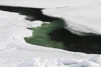 A cover of "Orion" cluster. The owner is nk1nk1. The cluster consists of 1 element.