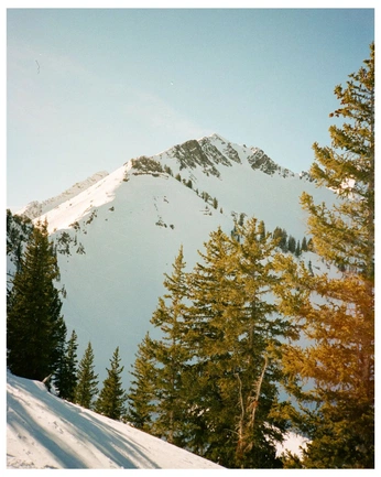 A cover of "SOL wellness palettes" cluster. The owner is marissaboe. The cluster consists of 209 elements.