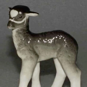 A cover of "olio" cluster. The owner is elisanous. The cluster consists of 526 elements.