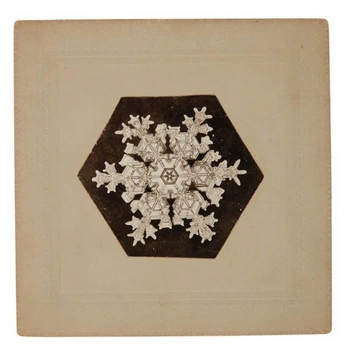 A cover of "not a lot, just forever" cluster. The owner is milobuggie. The cluster consists of 8 elements.