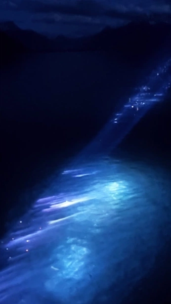 A cover of "백운광장미디어" cluster. The owner is solusion. The cluster consists of 2 elements.