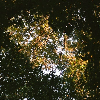 A cover of "i almost forgot.." cluster. The owner is ethdaly. The cluster consists of 6 elements.