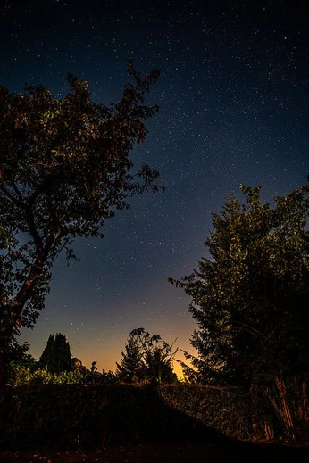 A cover of "MIMOSAS RECHERCHES" cluster. The owner is clo.f. The cluster consists of 100 elements.