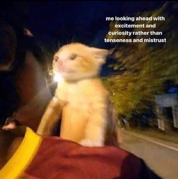 A cover of "Funny" cluster. The owner is spectralflame. The cluster consists of 8 elements.