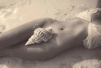 A cover of "Coquillage & Crustacé" cluster. The owner is chlomcn. The cluster consists of 14 elements.