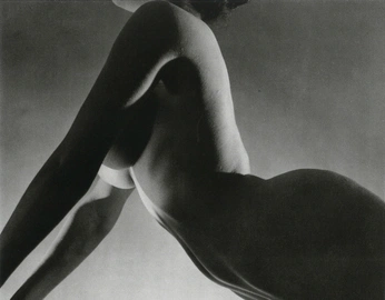 A cover of "the body shows" cluster. The owner is leticianz. The cluster description is "a body talks so much". The cluster consists of 16 elements.