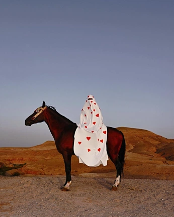 A cover of "Disruptivo" cluster. The owner is magghz. The cluster consists of 5 elements.