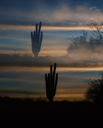 A cover of "09 ENVIRONMENTS" cluster. The owner is benjaminweingart. The cluster consists of 6 elements.