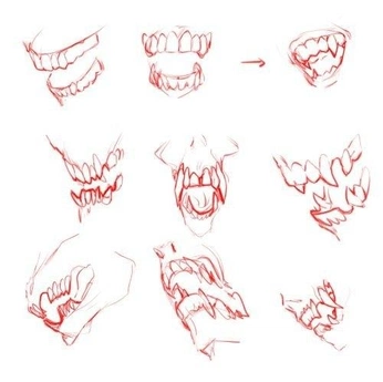 A cover of "Drawin da critters" cluster. The owner is evilgrape. The cluster consists of 349 elements.