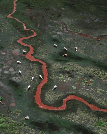 A cover of "likearock" cluster. The owner is bluepearl. The cluster consists of 22 elements.