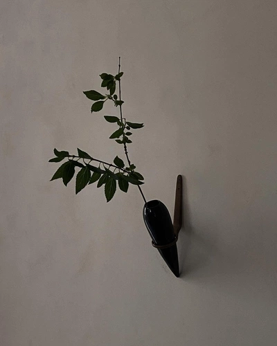 An Instagram  post added by brooklyn on Mar 11, 2023. The author is @colinking. May present: leaf, plant, twig, flower.
