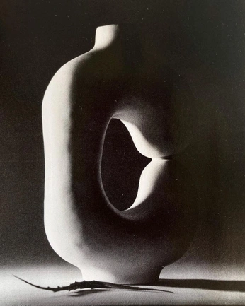 A cover of "nature morte" cluster. The owner is mohashesh. The cluster consists of 9 elements.