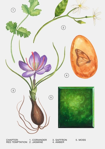 A cover of "nature . science" cluster. The owner is billywillows. The cluster consists of 13 elements.