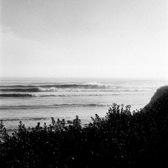 A cover of "Web Saves" cluster. The owner is andrewdenton. The cluster consists of 7 elements.