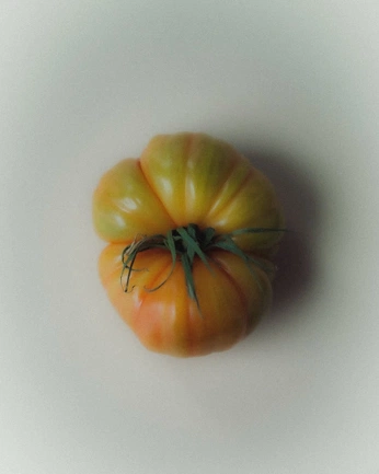 A cover of "Cà chua" cluster. The owner is julesqu. The cluster consists of 1 element.