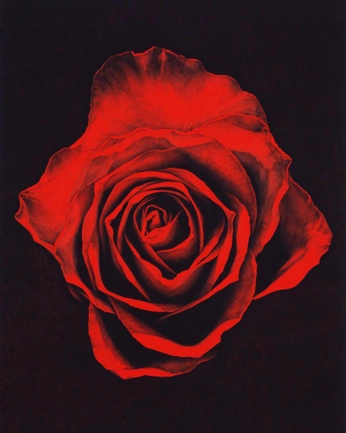 A cover of "Mary Magdalene" cluster. The owner is lealani. The cluster consists of 19 elements.