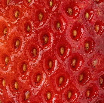 A cover of "🍎" cluster. The owner is imichi. The cluster consists of 12 elements.