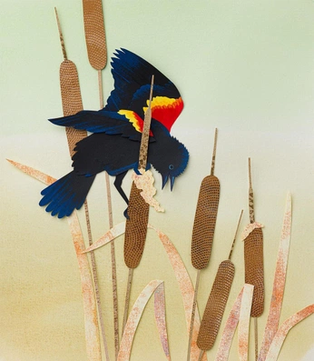 A cover of "Papercraft" cluster. The owner is hansm. The cluster consists of 1 element.