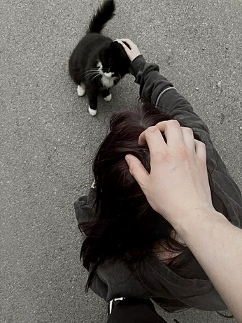 A cover of "Couples" cluster. The owner is bunyu. The cluster consists of 26 elements.