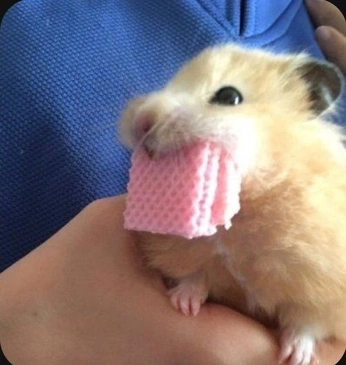 A cover of "other" cluster. The owner is ipeknurgokmen. The cluster consists of 3 elements.