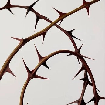 A cover of "Strings" cluster. The owner is blizina. The cluster consists of 9 elements.