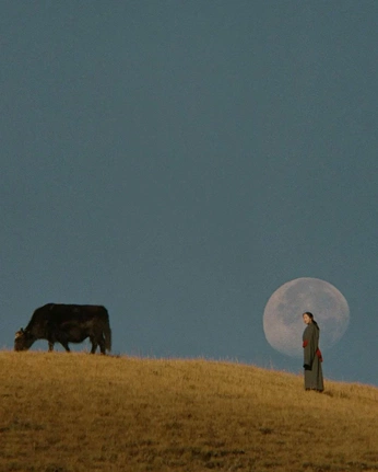 A cover of "Mesmerising composition" cluster. The owner is derustedrailways. The cluster description is "idk why this isn't on my art account dsxfdkgsz". The cluster consists of 4 elements.