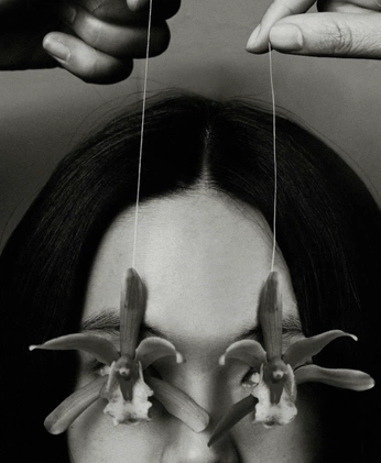 A cover of "Addams vibes" cluster. The owner is naomicass. The cluster consists of 26 elements.