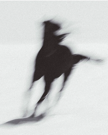 A cover of "YSL Cowboy" cluster. The owner is marinademag. The cluster consists of 18 elements.