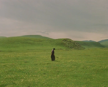 A cover of "nature." cluster. The owner is destriect. The cluster consists of 18 elements.