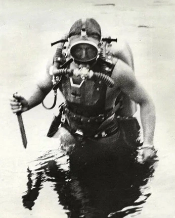 A cover of "jpegmafia" cluster. The owner is bari. The cluster consists of 9 elements.