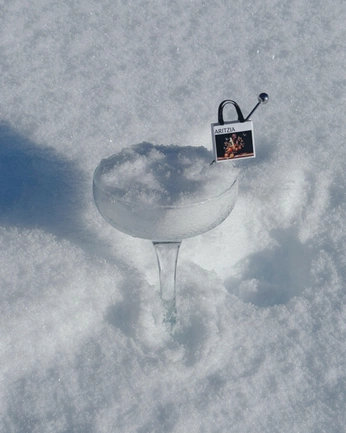 A cover of "Ads" cluster. The owner is shioo. The cluster consists of 2 elements.