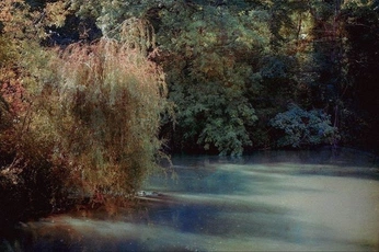 A cover of "Nature" cluster. The owner is faesrenaissance. The cluster consists of 8 elements.