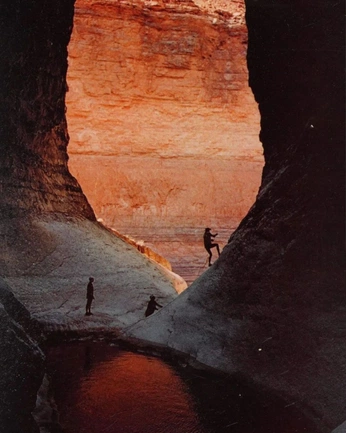 A cover of "nature" cluster. The owner is brandonalex. The cluster consists of 1 element.