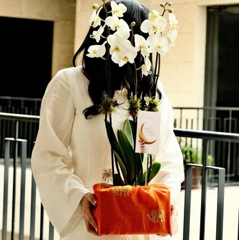 A cover of "Gifts" cluster. The owner is fatami. The cluster consists of 13 elements.