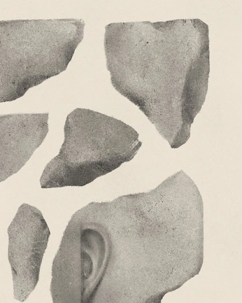 A cover of "WT" cluster. The owner is carolopezkeller. The cluster consists of 116 elements.