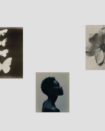 A cover of "Address Arts" cluster. The owner is amrelwan. The cluster description is "Archive of our works". The cluster consists of 13 elements.