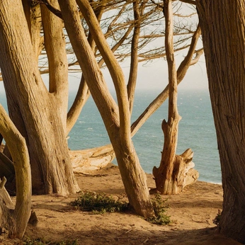 A cover of "The great outdoors" cluster. The owner is chase.rowan. The cluster consists of 65 elements.