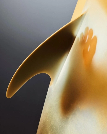 A cover of "Surfboard" cluster. The owner is maximenugues. The cluster consists of 20 elements.