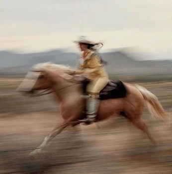 A cover of "Vintage Western Decor" cluster. The owner is haklein. The cluster consists of 1 element.