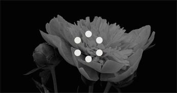 A cover of "web" cluster. The owner is rxgue. The cluster consists of 28 elements.