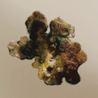 A cover of "mold" cluster. The owner is marla22. The cluster consists of 11 elements.