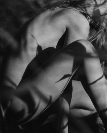 A cover of "Earth Body" cluster. The owner is saharasaktii. The cluster consists of 35 elements.