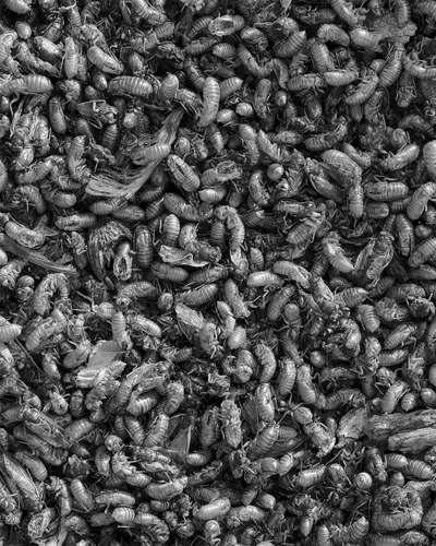 An Instagram carousel post added by aethereal.itf on Jun 05, 2024. The author is @atmos.