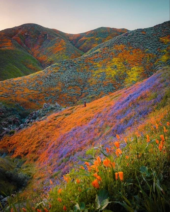 A cover of "Photography" cluster. The owner is podo01. The cluster consists of 43 elements.